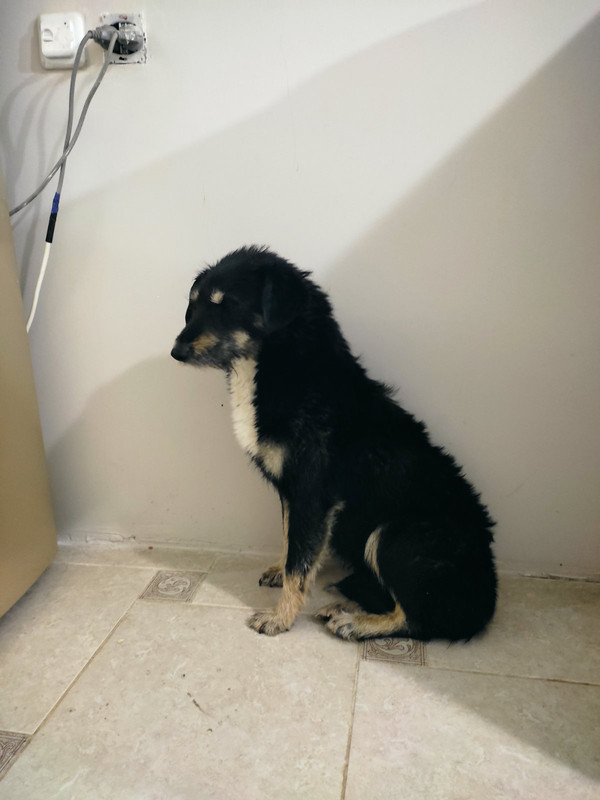 viber_image_2022-05-22_23-01-36-412