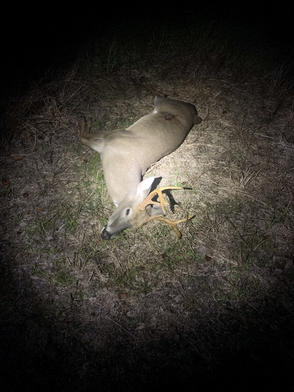 93822B4E-FC7D-4B9C-8EBD-531D14304195