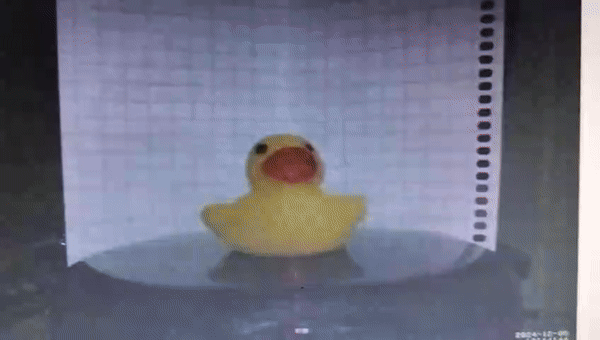 ankka-ezgif.com-video-to-gif-converter