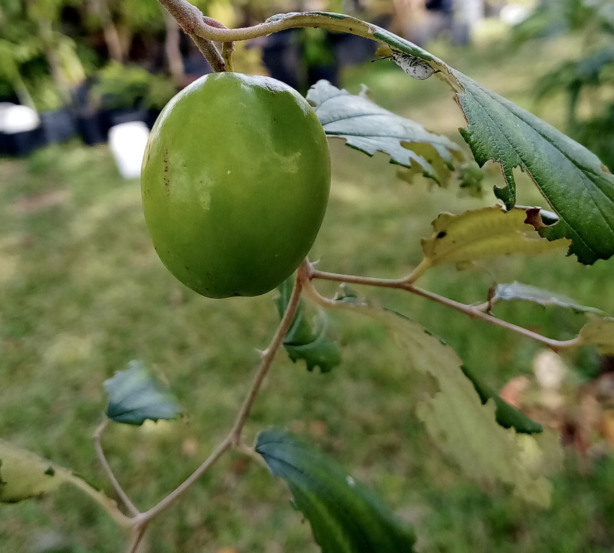 7B6647B8-03DC-4594-97CE-8B23FE846F63