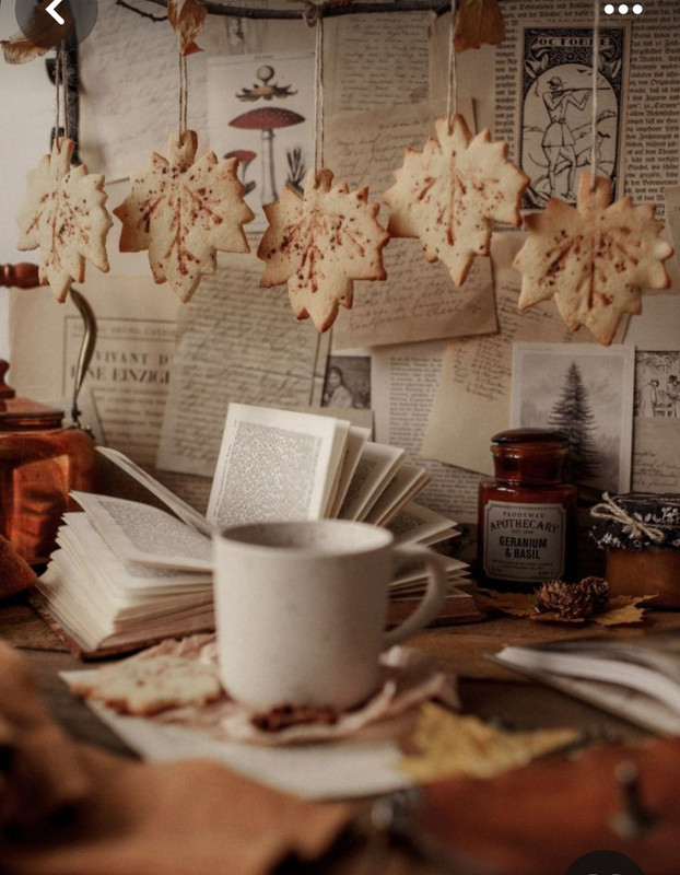 Screenshot_20240203_201348_Pinterest