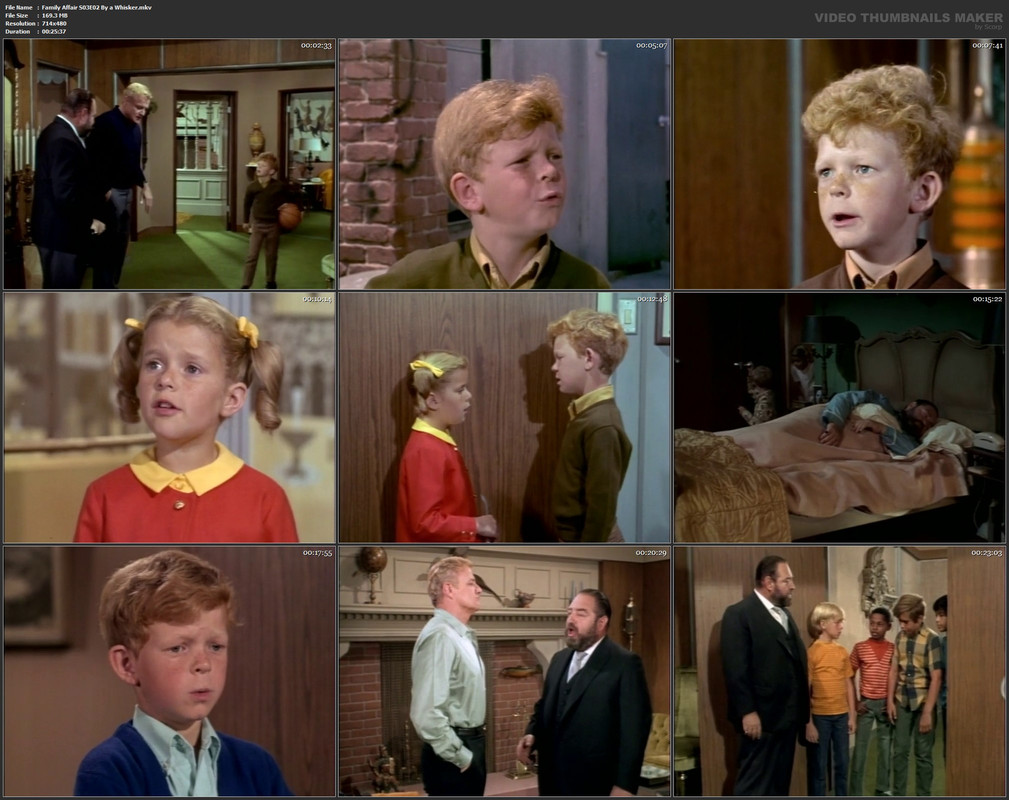 Family Affair S03E02 By a Whisker.mkv