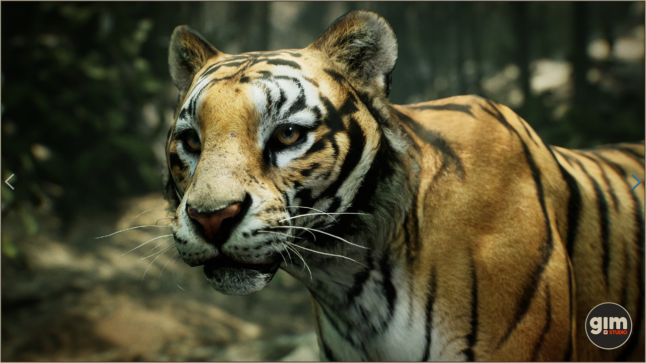 [ Unreal Engine Character ] Animalia - Tiger