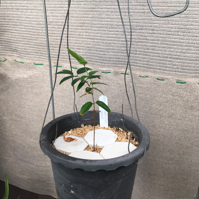 08C84BE7-FC96-4E45-AB56-84CDA2140E3F