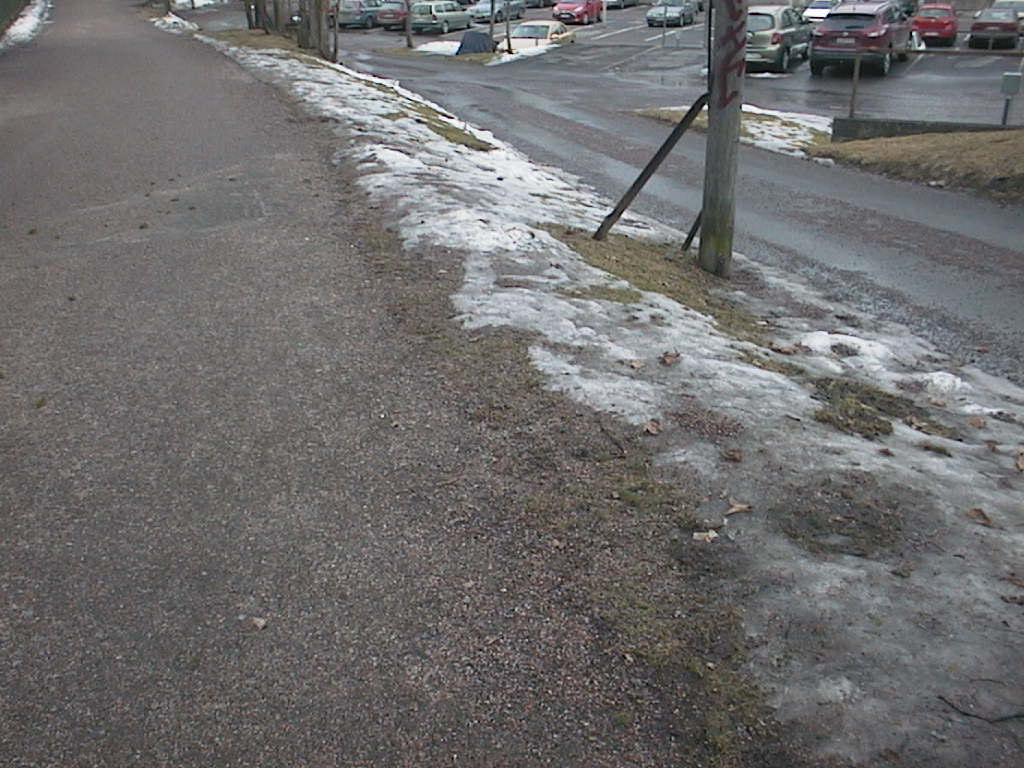 päivän löydöt 28032016 034