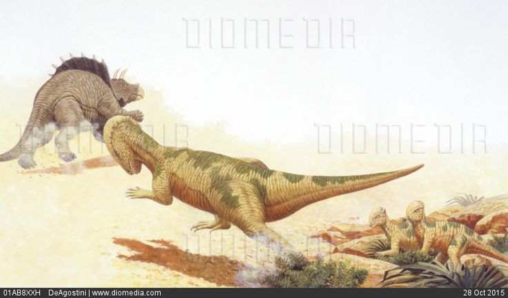 f514bd7e63c9af93a622cdcd5b16ced3