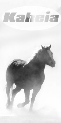 [Image: Hoss.jpg]