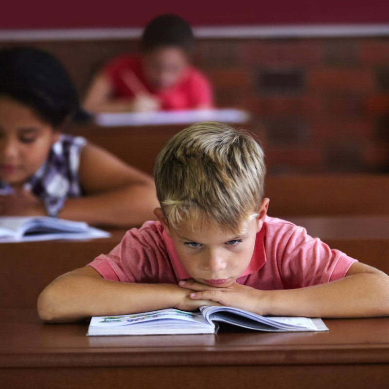 Cover image for Do Test Scores Really Matter?