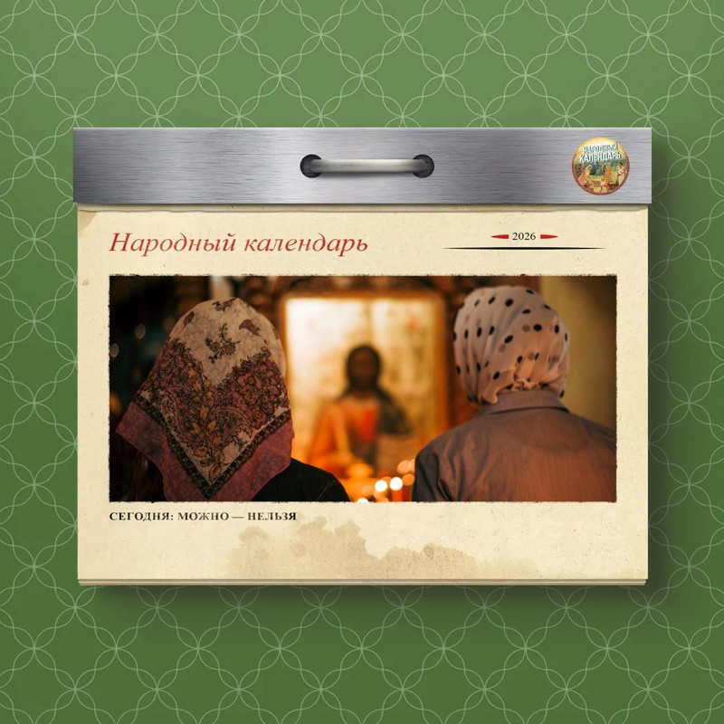 [Изображение: photo-2026-06-07-08-11-22.jpg]