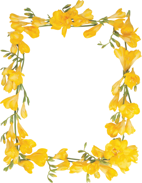 frame Kit_Just_Bee_In_ME (2)
