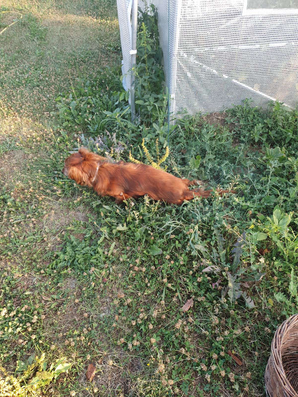 [Image: 20220721-201303.jpg]