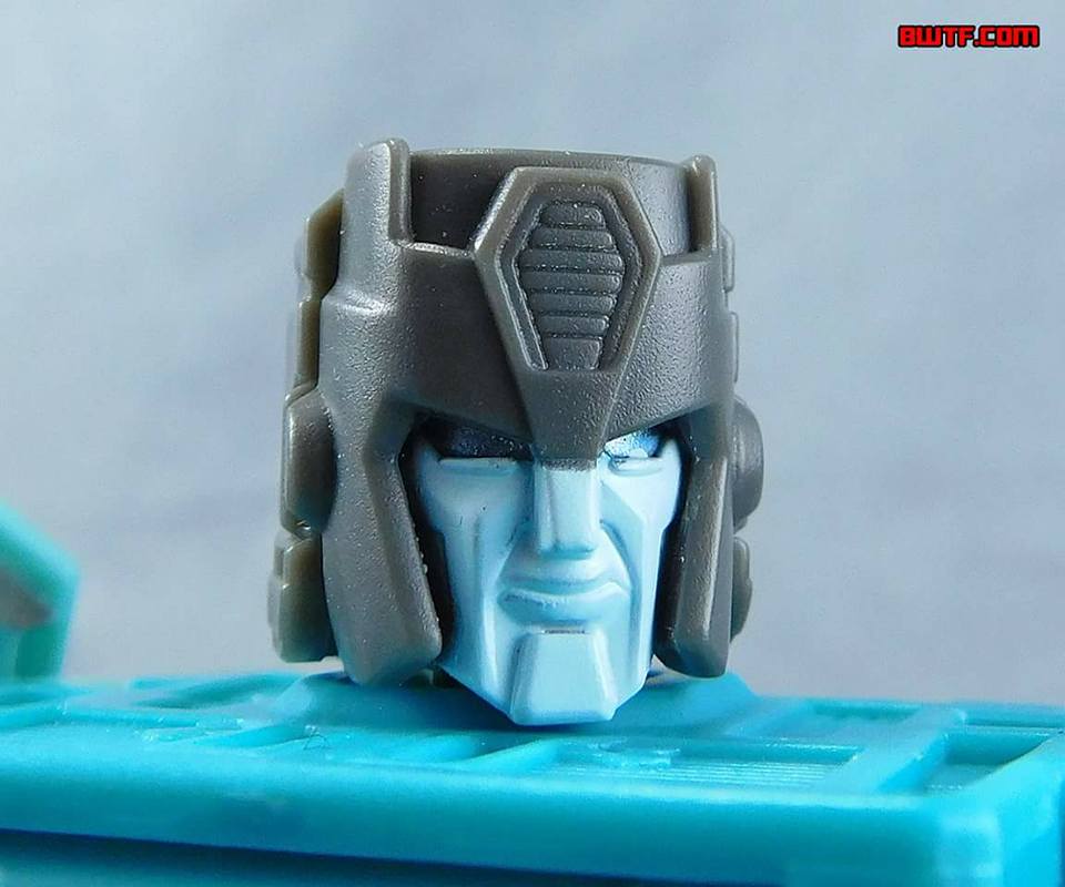 15726779_1255447731187831_1200805629040432013_n