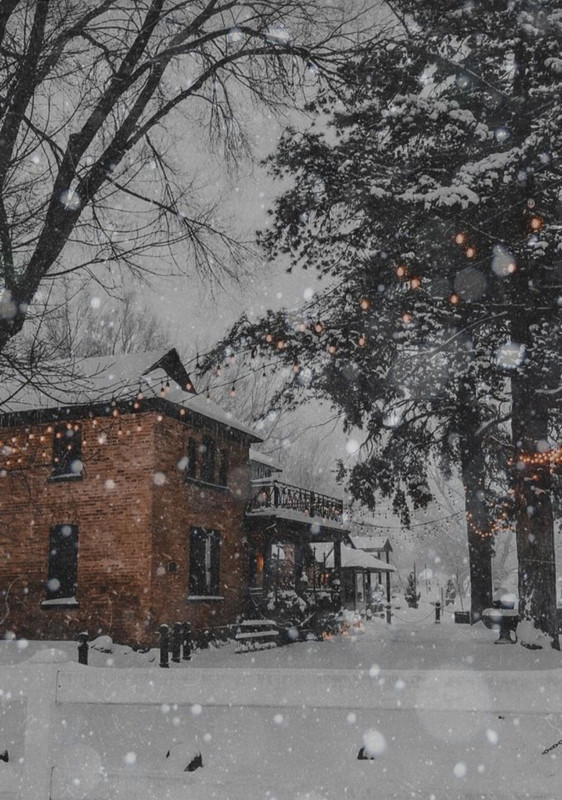 Screenshot_20231122_231619_Pinterest