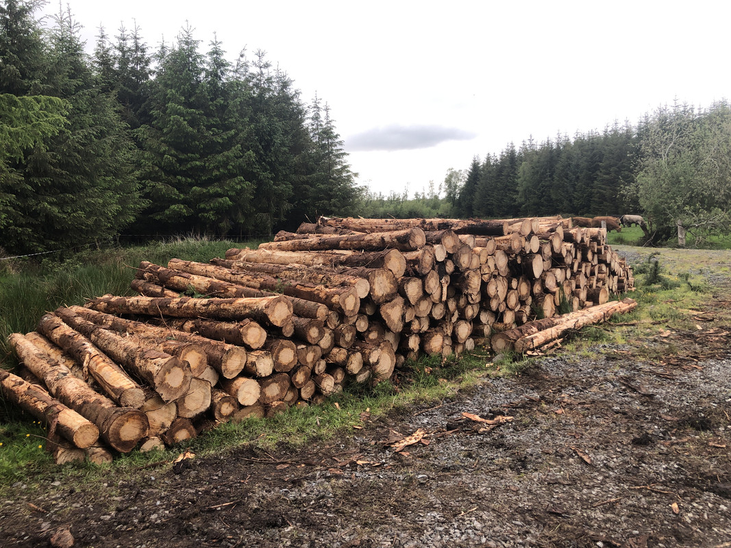 64930052-CEB2-4586-A1BD-BC32E90240B0