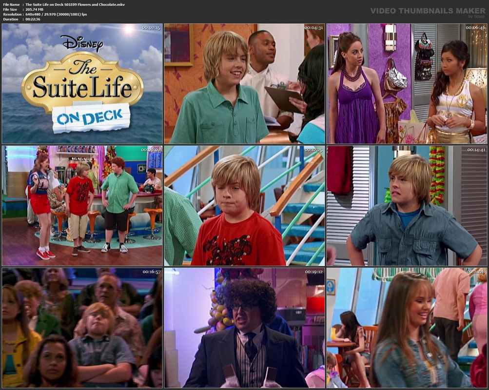 The Suite Life on Deck S01E09 Flowers and Chocolate.mkv