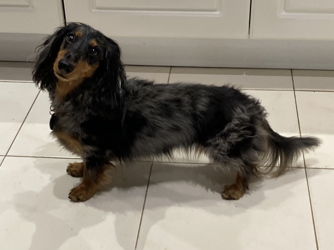 [Image: IMG-3951.jpg]