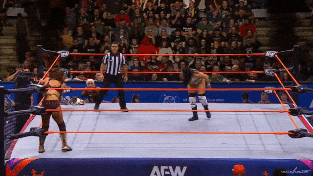 aew_20241030_kamille_v_statlander1