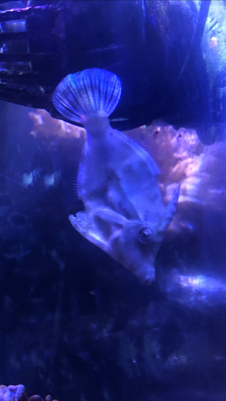 FF9EE088-C3F9-479B-A7E1-F52F30DC8B52