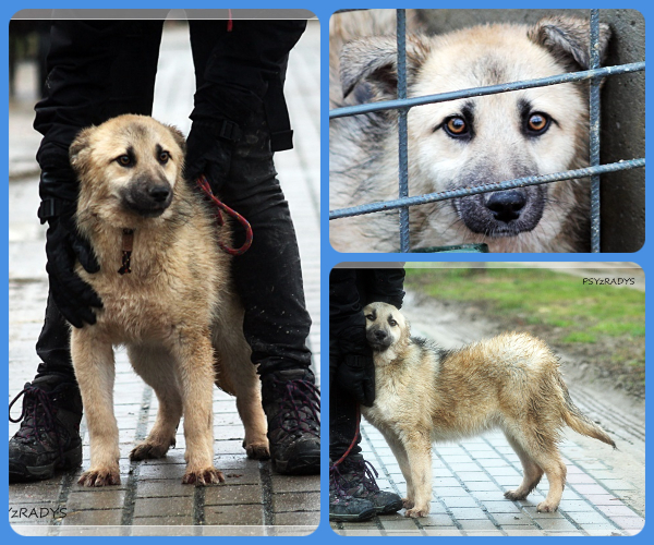 BeFunky-collage (21)