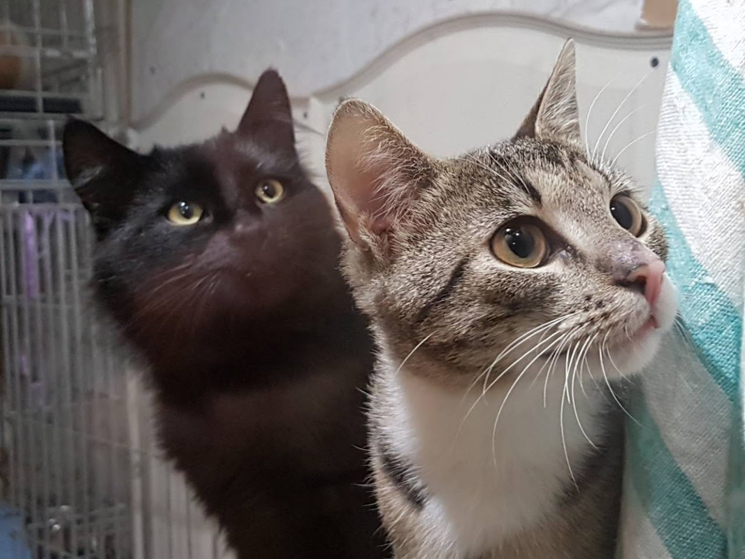 IMG-3b4f6697ac6c7d1d9c6a3887eb06b6ff-V