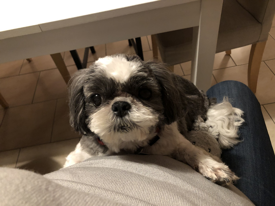 [Image: IMG-6907.jpg]