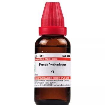 Willmar Schwabe India Fucus Vesiculosus 1X (Q) (30ml)