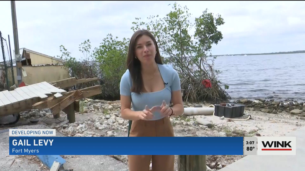 01.20 - 20.00.00 - WINK News at 3pm  ᴺᵉʷ..ts_snapshot_00.11.03.029