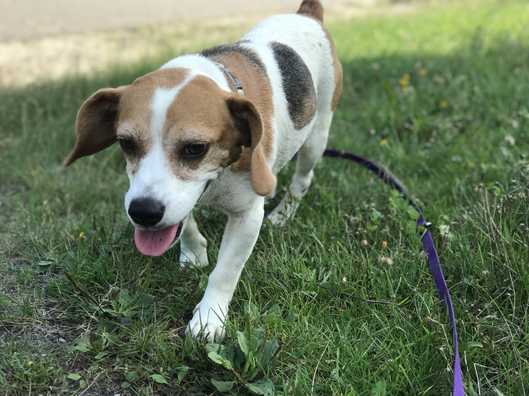 1701DD4A-5DDC-41C6-9690-3234A9EDF03C