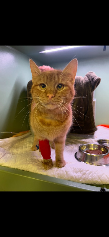 BFE83417-74E4-4069-AFBD-BC28BEA6C240