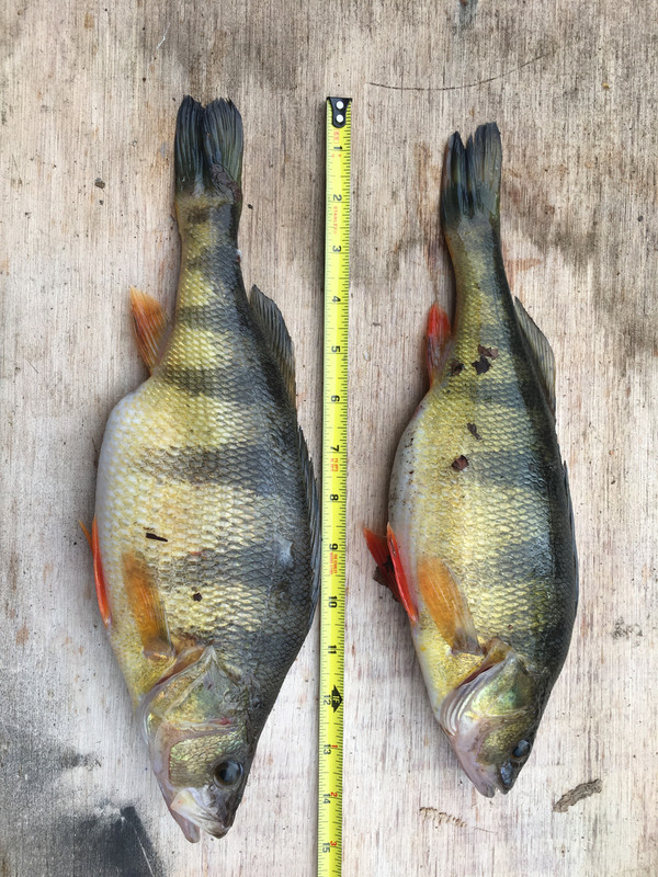 7E5238BA-AF8A-454B-B4F9-02419231FF7D