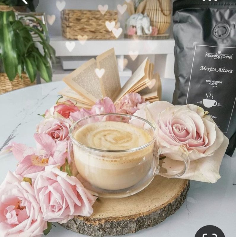 Screenshot_20230420_010633_Pinterest