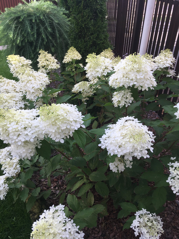 3B15C4F9-C3DB-49E9-BE0B-F24BC5145BAC