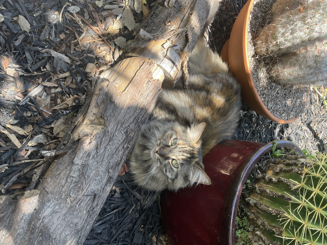 CE6A4ED2-8FA4-4050-8026-72F5B8644F0B