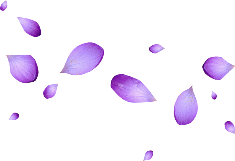 0_1c0e10_c2d56311_orig