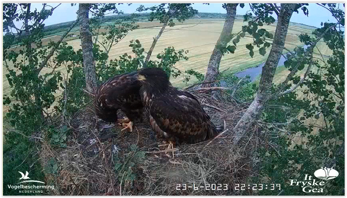 Screen Shot 06-23-23 at 10.24 PM