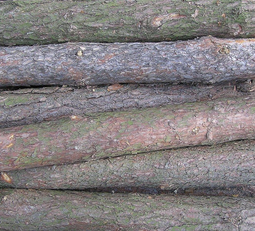 wood-texture-3dsmax (167)