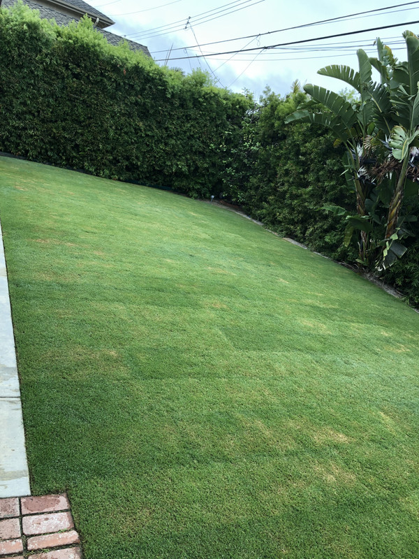 27F3A7E0-FF67-4396-A799-22BF2176C810