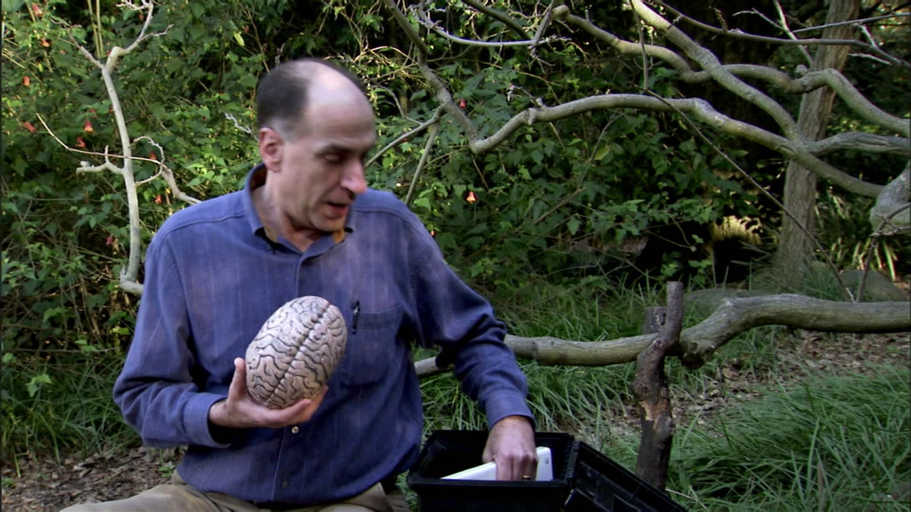 vlcsnap-2023-02-07-21h07m34s813