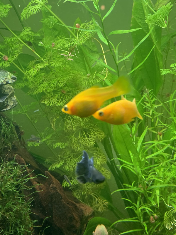 139F54D8-7CAA-4F69-ABC4-73718D89554D