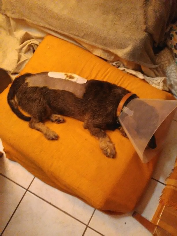 [Image: IMG-20230302-191814.jpg]