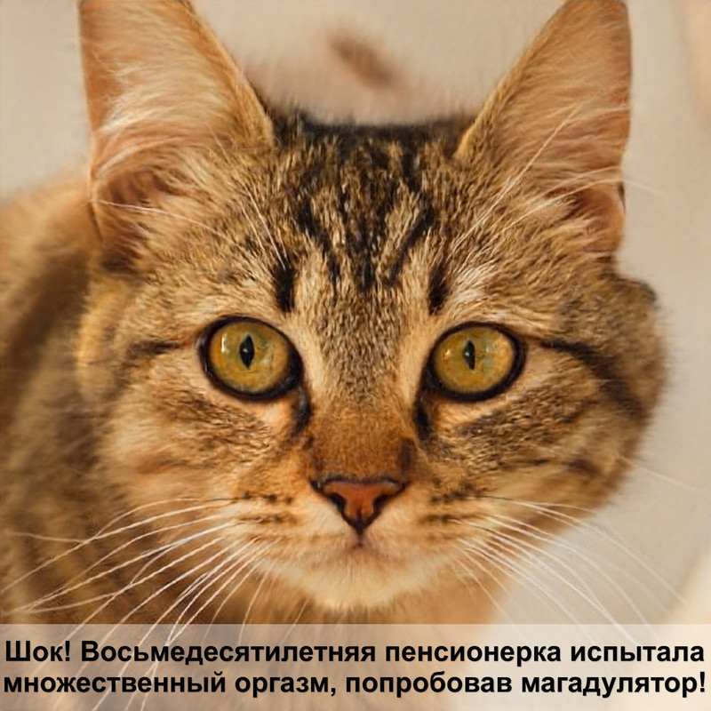 средство от ушного клеща у кошек