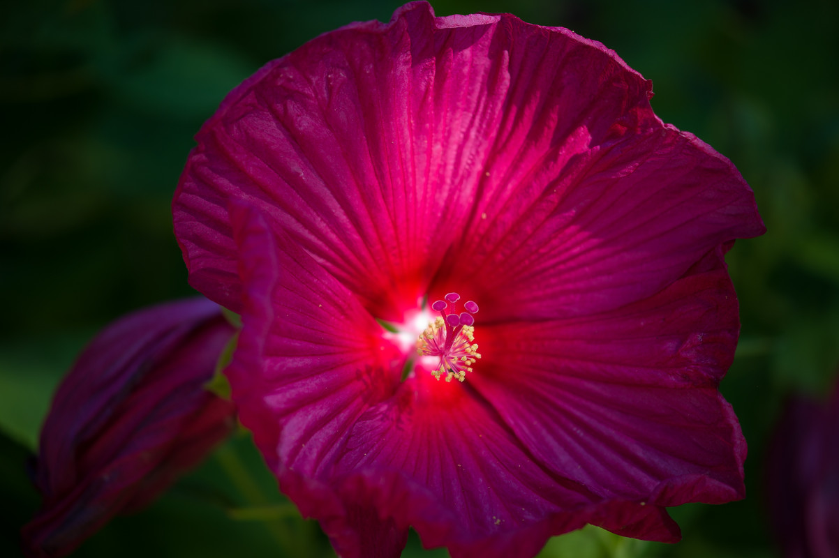 E99DCB06-8EE7-48C0-9370-2DD25B311BCB