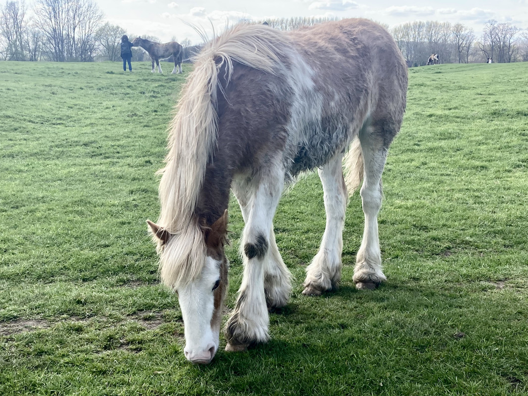 B5DD73AA-FC28-40AC-BB16-2229F29429E9