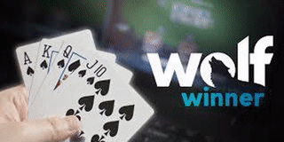 Wolf Winner