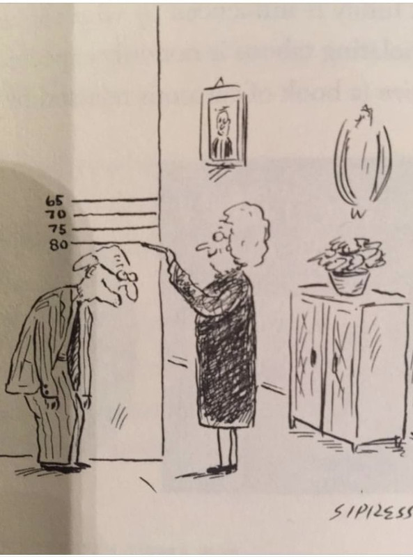 staračko mjerenje visine