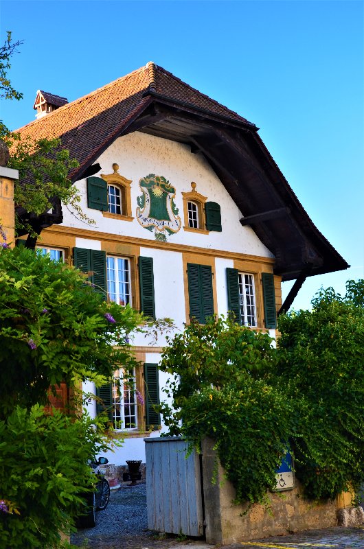 MURTEN-4-9-2019 - Suiza y sus pueblos-2019 (44)