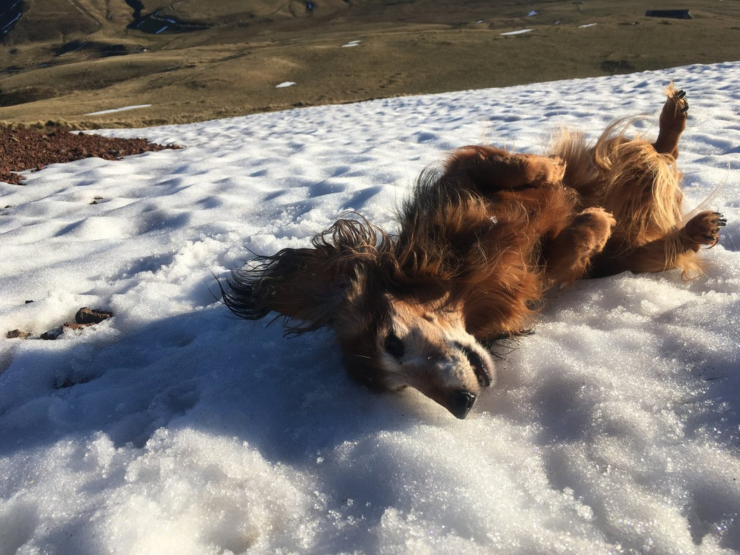 [Image: IMG-0253.jpg]