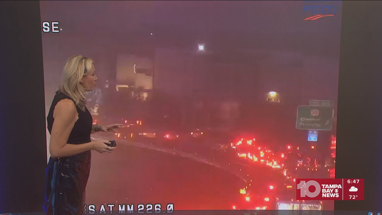 10 Tampa Bay News This Morning at 600 a m 20251202 11001200 ts snapshot 48 48 584