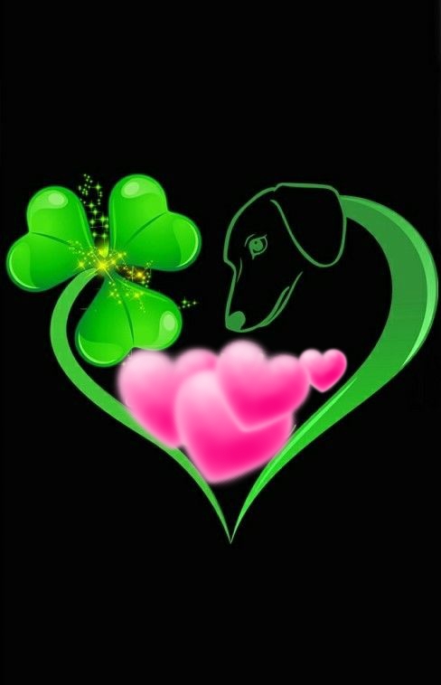 [Image: 20210124-192444.jpg]