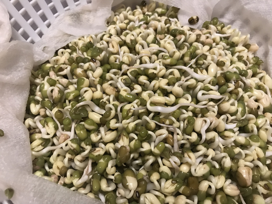 4AD36E02-DB8B-41B7-A32B-B46EC0C27537